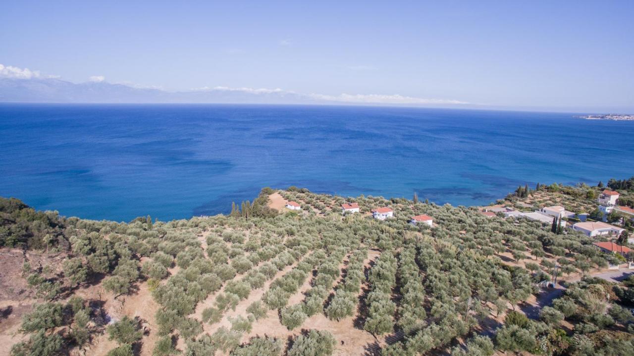 Κτήμα Παπαβασιλόπουλος 2 - Villa โคโรนิ ภายนอก รูปภาพ